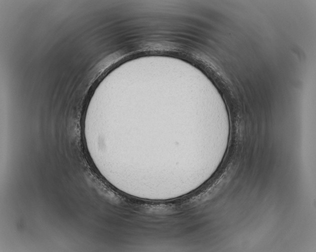 X0000111491025200908111219
