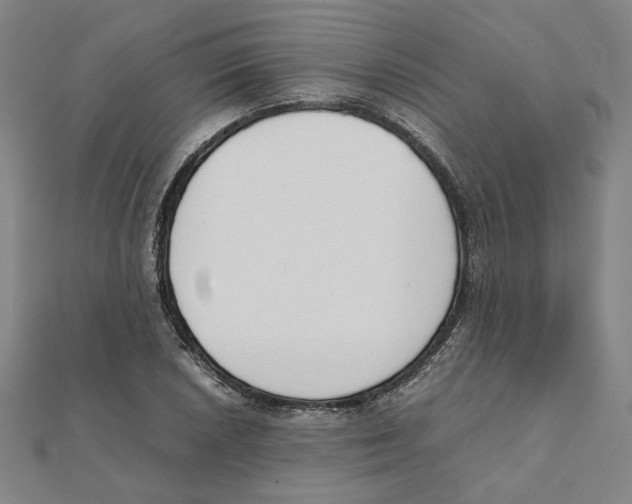 X0000111491026200908111219