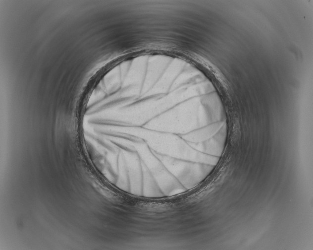 X0000111491027200908111219