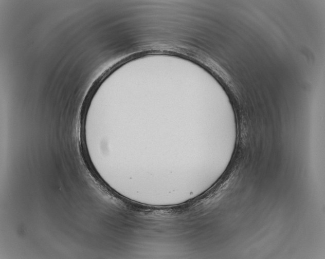 X0000111491028200908111219