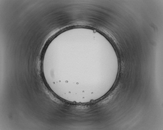 X0000111491029200908111219