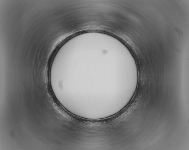 X0000111491030200908111219
