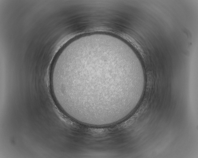 X0000111491031200908111219