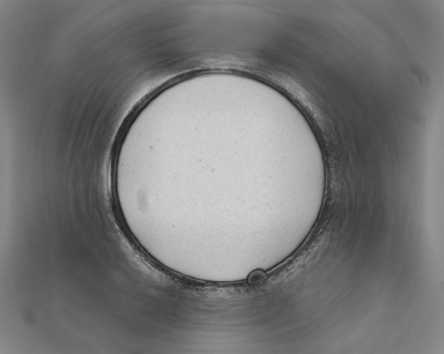 X0000111491032200908111219