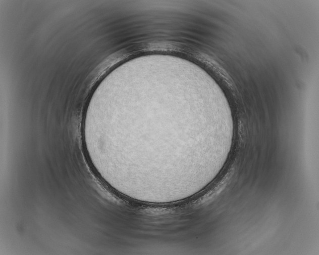 X0000111491033200908111219