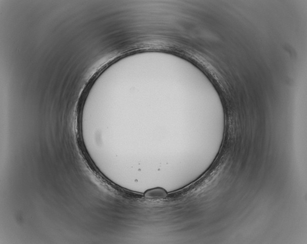 X0000111491034200908111219