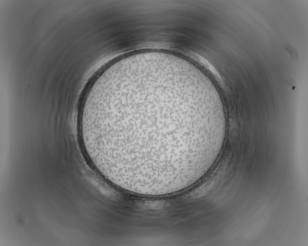 X0000111491035200908111219
