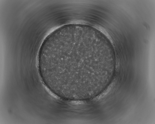 X0000111491037200908111219