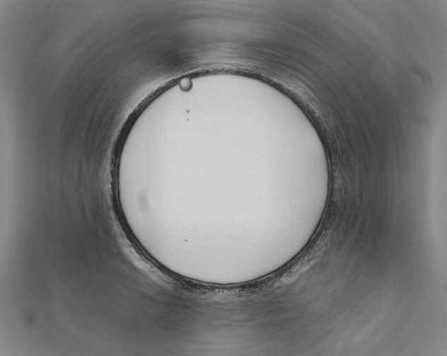X0000111491038200908111219
