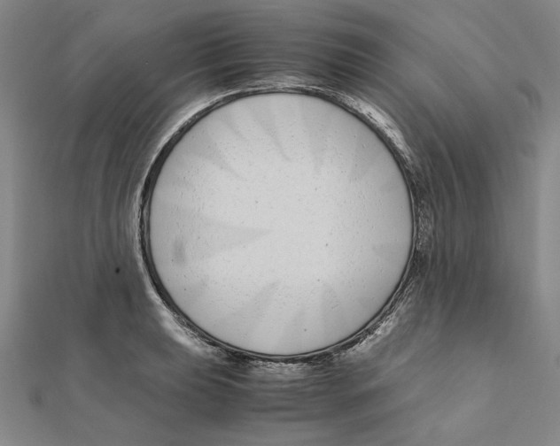 X0000111491039200908111219