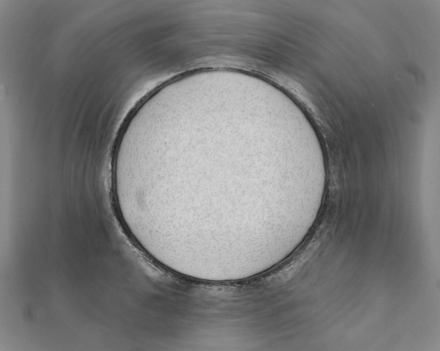 X0000111491040200908111219