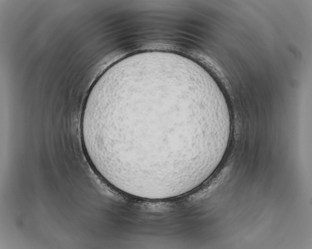 X0000111491041200908111219