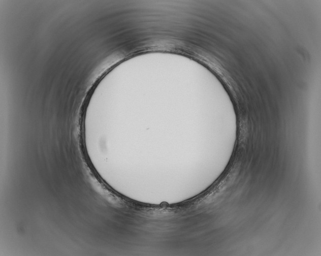 X0000111491042200908111219