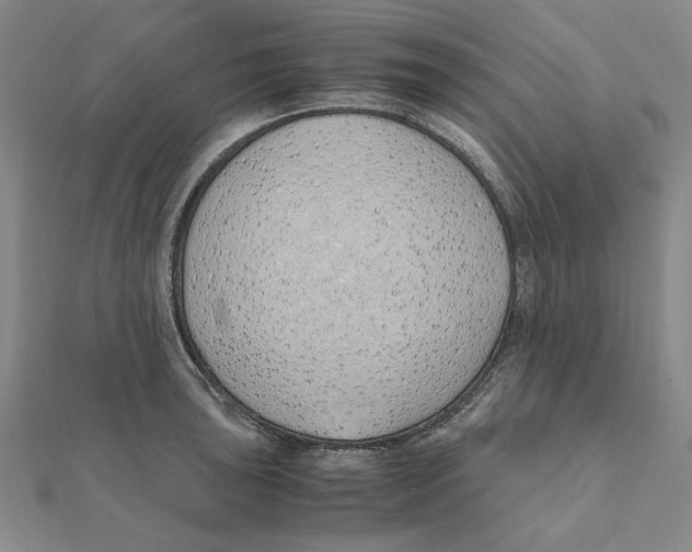 X0000111491043200908111219