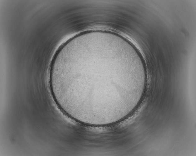 X0000111491045200908111219