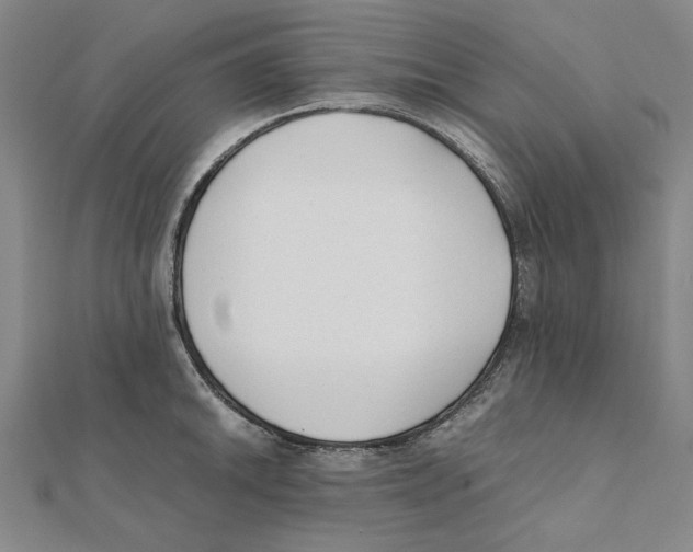 X0000111491046200908111219