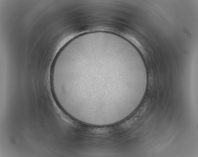 X0000111491047200908111219