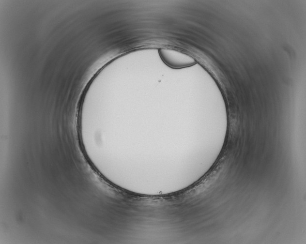 X0000111491050200908111219
