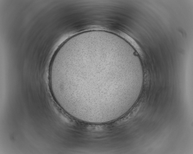 X0000111491051200908111219