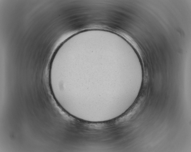 X0000111491053200908111219