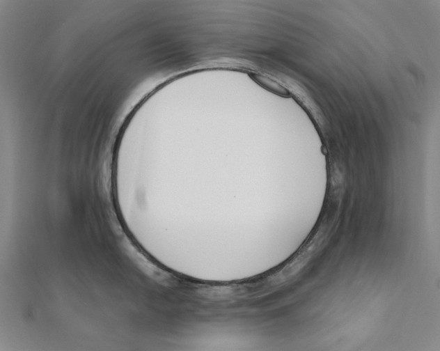 X0000111491054200908111219