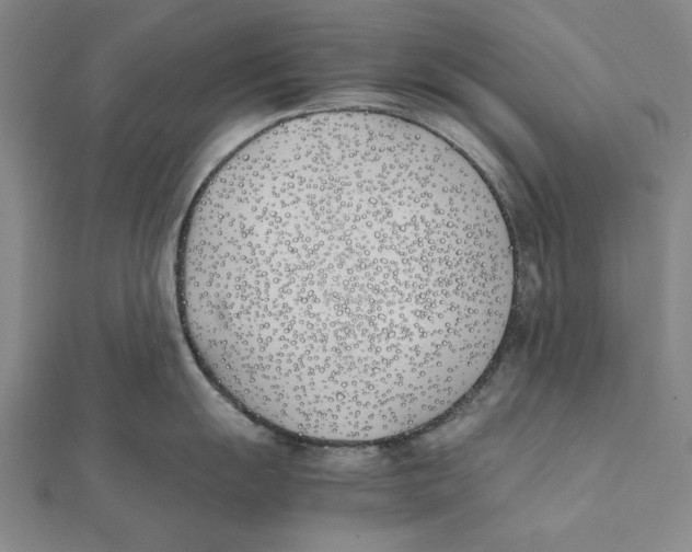 X0000111491055200908111219