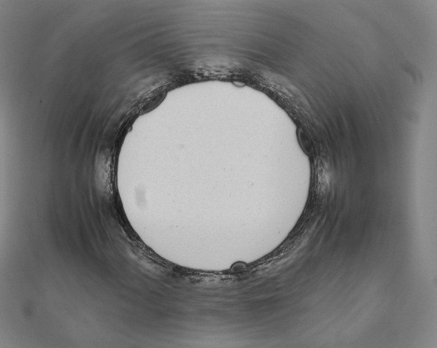 X0000111491060200908111219