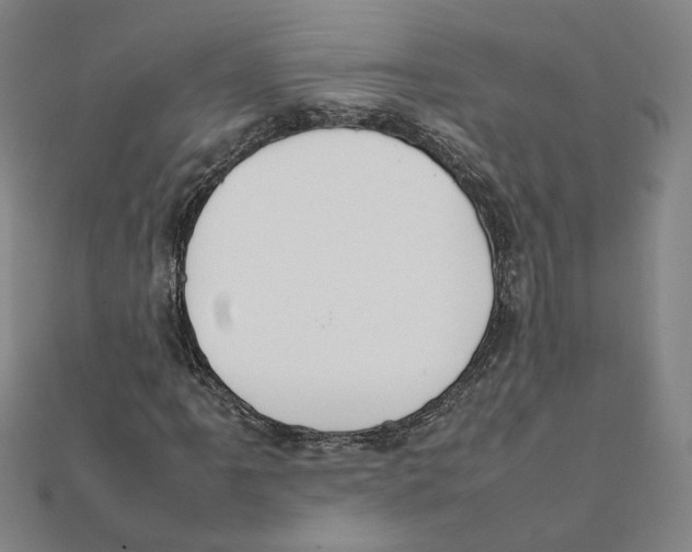 X0000111491061200908111219