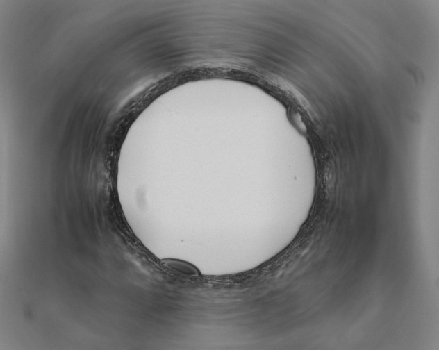 X0000111491064200908111219