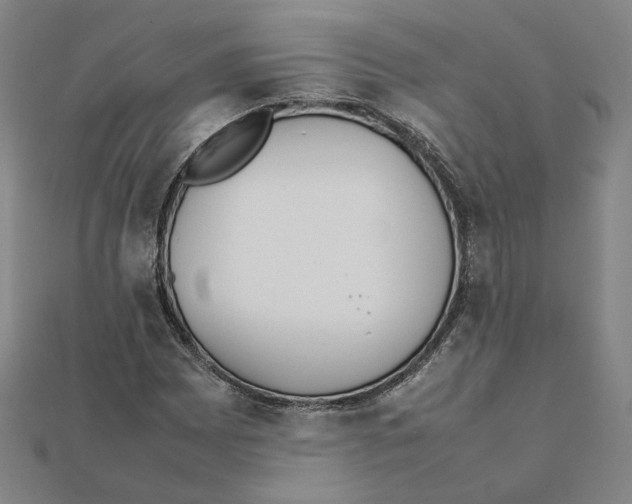X0000111491065200908111219