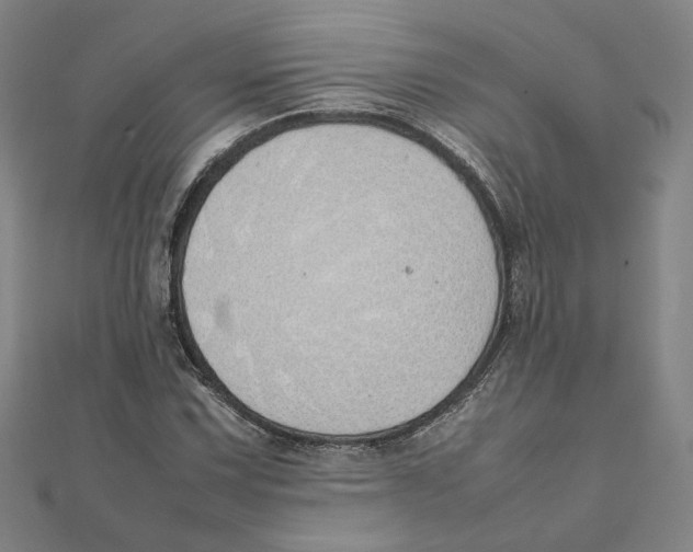 X0000111491067200908111219