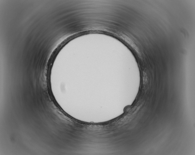 X0000111491068200908111218