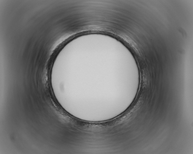X0000111491070200908111218
