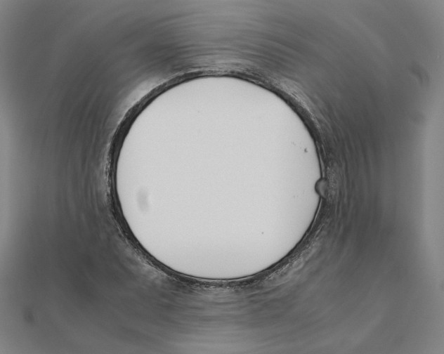 X0000111491071200908111218