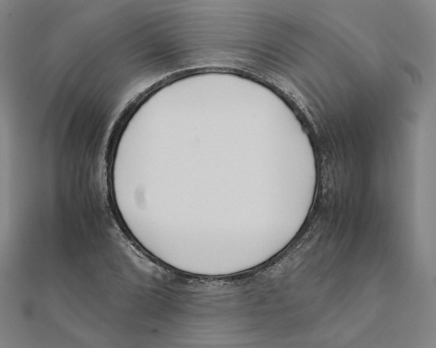 X0000111491072200908111218