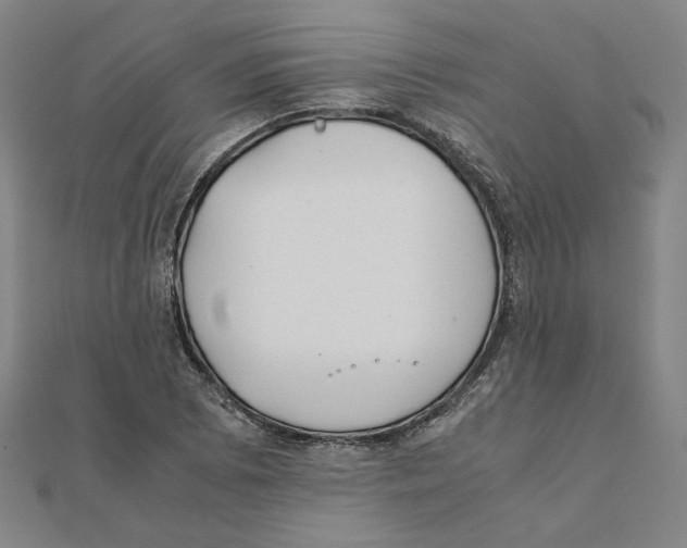 X0000111491073200908111218