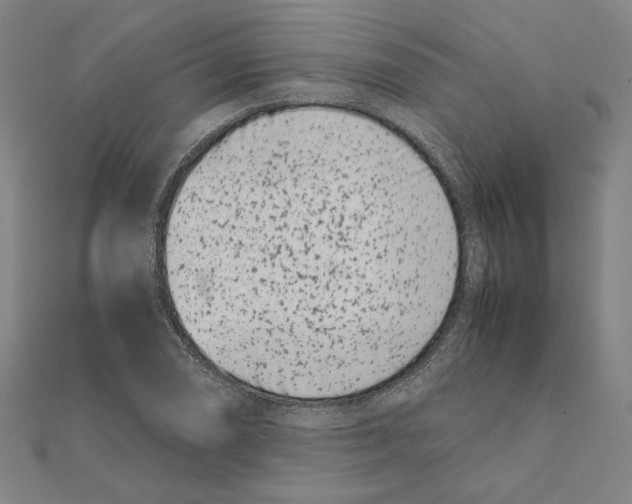 X0000111491074200908111218