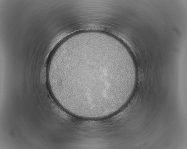 X0000111491075200908111218