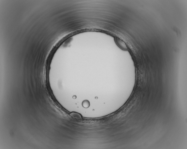 X0000111491076200908111218
