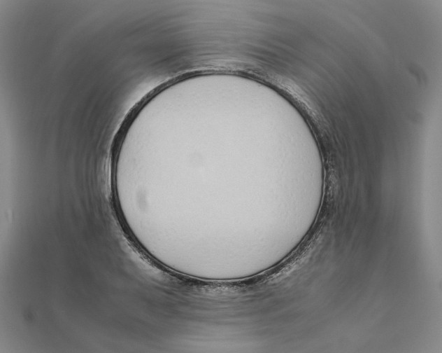 X0000111491079200908111218