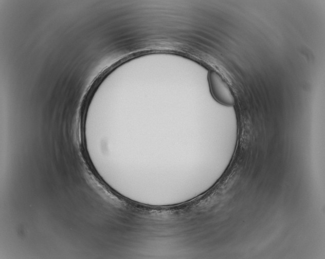 X0000111491080200908111218