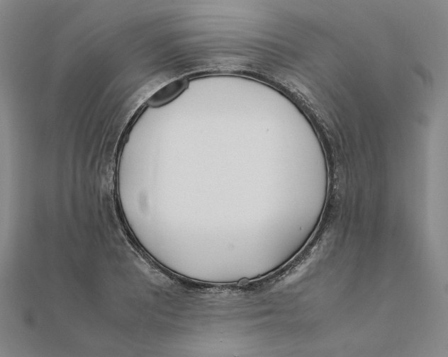 X0000111491081200908111218