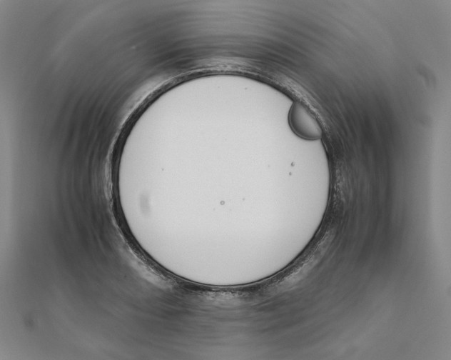 X0000111491082200908111218