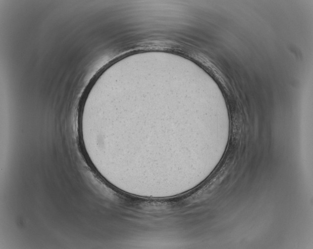 X0000111491083200908111218