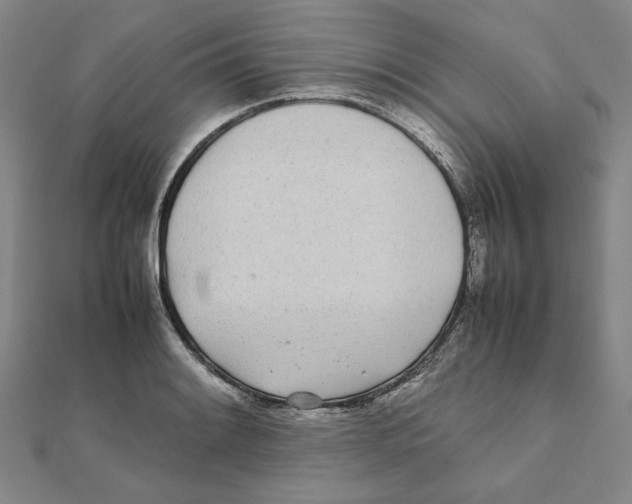 X0000111491084200908111218