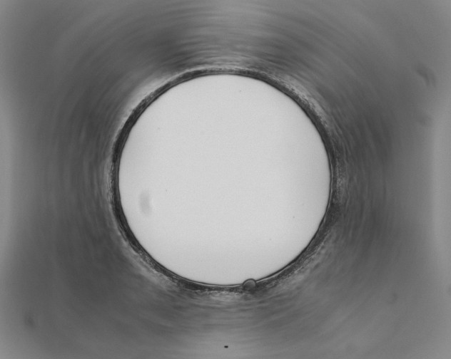 X0000111491085200908111218