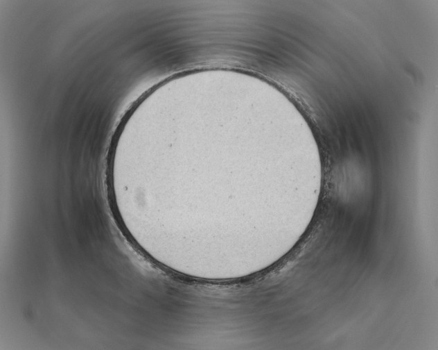 X0000111491086200908111218