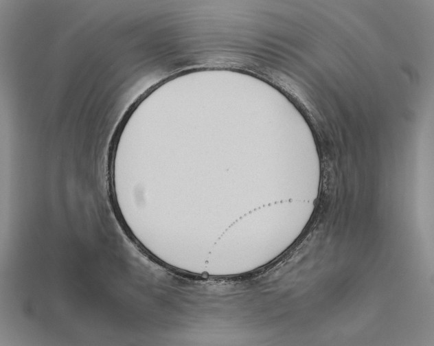 X0000111491087200908111218