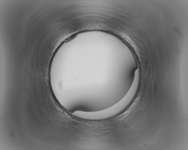 X0000111491089200908111218