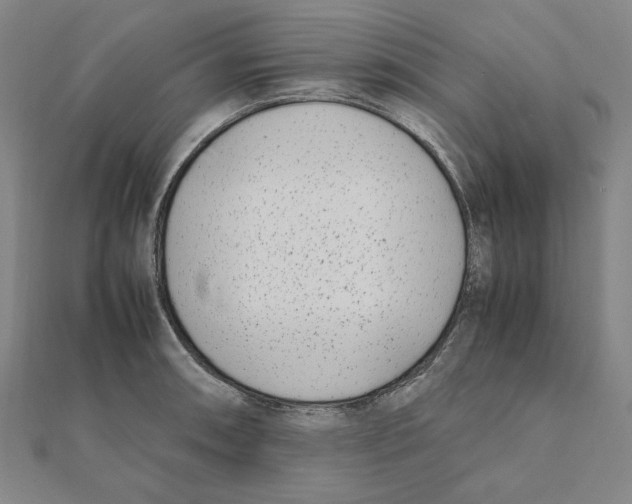 X0000111491090200908111218